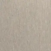 Neutral woven textile surface, light beige color, subtle linear pattern, matte finish, natural simplicity, fabric texture, close-up view.