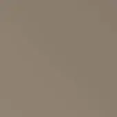 Beige RAL7006 color swatch with high-gloss lacquer finish, displaying a uniform, warm tone and smooth, reflective surface.