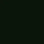 Glossy black lacquer sample, RAL9011, displays a high-gloss, seamless finish with a uniform, reflective surface and contemporary aesthetic.