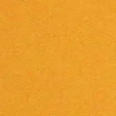 Orange granular texture, consistent mid-tone color, uniform matte finish, tightly woven or finely sanded surface, studio shot composition.