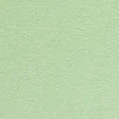 Muted green granular texture, consistent matte tone with subtle variations, closely woven fabric or sandblasted material, plain visual plane.
