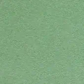 Sage green textured surface, granular weave, matte finish, uniform color, and diffuse lighting create a consistent, slightly rough appearance.