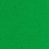 Green texture sample, dense woven material, consistent medium tone, matte finish, uniform surface, no discernible pattern, solid color expanse.