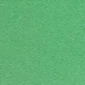 Granular green texture resembling woven felt fills the frame, displaying consistent muted coloration and subtle tonal variations under diffuse lighting.