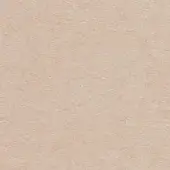 Beige seamless texture with granular surface, matte finish, and consistent fine particles, resembling woven fabric or textured paper.