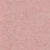 Dusty rose textured surface with granular, uneven quality and subtle tonal variations, displaying a mottled effect under diffuse lighting.