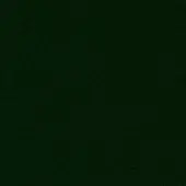Dark green fabric texture with a granular appearance, displaying a saturated forest hue and tightly woven, dense material with even lighting.