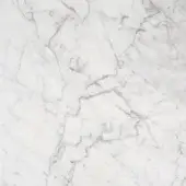 Carrara marble texture with dense grey veining, polished finish, and organic pattern creating a cool, neutral surface.