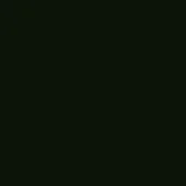 Matt black RAL9011 lacquer swatch on black background, displaying a uniform matte finish and saturated, even color application.