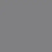 Matte gray color field, RAL7037 shade, uniform tone, smooth surface, diffuse lighting, subtle text overlay, monochromatic presentation.