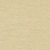 Beige texture with granular surface, exhibiting a consistent matte finish and warm, muted tone, resembling woven fabric or textured paper.