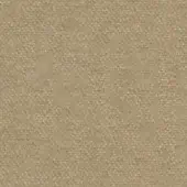 Beige fabric swatch displaying a dense, granular weave with subtle tonal variations and a matte finish, suggesting a natural or synthetic fiber.