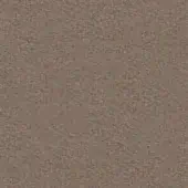 Dense gray-brown fibrous texture with subtle tonal variations, uniformly distributed across a compact surface, illuminated by diffused light.