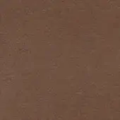 Brown matte paper texture with subtle tonal variations and a rough, uneven surface; diffused, natural lighting highlights material detail.