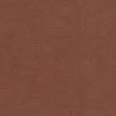 Brown fibrous paper texture with a matte finish and subtle tonal variations, presented in even, diffused studio lighting.
