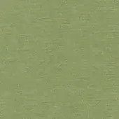 Sage green textured surface displaying a fine linear pattern, matte finish, and diffused lighting with no branding or text visible.