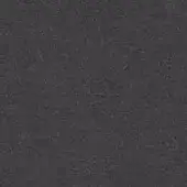 Dark gray felt texture, close-up view of densely woven fabric with irregular fibers and a matte, mottled surface; even lighting.