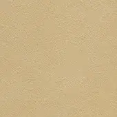 Beige leather texture with granular surface, fine irregular pattern, and matte finish, resembling unbleached linen or soft clay.