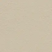 Beige leather texture with irregular cracks and wrinkles, displaying a matte finish and organic pattern for upholstery or decor.