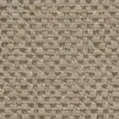 Coarse woven textile, muted beige color, dense grid pattern with visible knots and thread intersections, natural linen or jute texture.