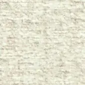 Off-white looped pile fabric texture with a nubby surface, displaying a tight weave and warm, creamy tone with subtle tonal variations.