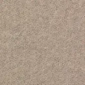 Taupe carpet texture with a short, dense pile and heathered tonal variations, displaying a uniform, matte surface and consistent fiber direction.