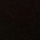 Dark brown velvet texture sample, “nuance v2,” displays a dense weave with scattered light-colored fibers and a matte, plush appearance.