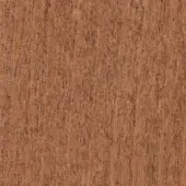 Beech wood texture displaying a light brown tone with vertical grain, a fine linear pattern, and a smooth matte finish.