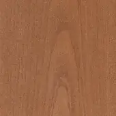 Beech wood sample with straight grain, blond tone, and matte finish displaying a consistent, natural wood texture and tight structure.