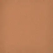 Eco leather texture sample, biscuit color, fine grained surface with matte finish and uniform color distribution for upholstery applications.