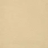Beige eco leather texture with fine, irregular lines and creases, creating a subtly grained, matte surface and warm, muted tonal variation.