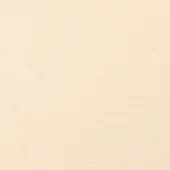 Pale beige granular texture fills the frame, displaying subtle tonal variations and an even, diffused lighting with no distinct pattern.