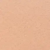 Beige textured surface displaying granular stucco pattern with tonal variations, even lighting, and subtle undulation throughout the composition.