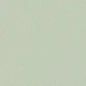 Pale green textured surface with branching line pattern, resembling organic veins or leaves, displaying subtle tonal variations and matte finish.