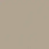 Matte lacquered wood surface in sand color, smooth uniform finish with muted beige and gray undertones, showcasing material color and texture.