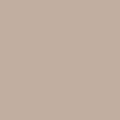 Dove grey color swatch, matte finish, uniform tone, solid background, consistent coloration, neutral palette, flat surface, even texture.