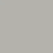 Light grey matte texture sample, uniform cool neutral tone, evenly lit solid color field, consistent surface with no visible grain or pattern.
