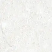 Bontempi white surface texture, granular finish, unicolor material sample d007, dense composition, consistent tone, studio lighting.