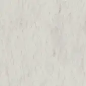 Beige fabric texture with dense, short fibers and subtle tonal variations; faint script text “borzalino > fabric (g) > geltrude > geltrude – 170” embedded.