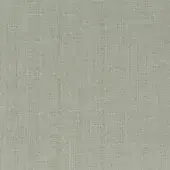 Linen-like fabric sample in pale green with a tightly woven texture, displaying brand text “borzalino” and product code “ch2890 – 036”.