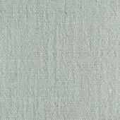 Pale gray-green fabric sample displays a dense, granular texture with small rounded elements; identified as Borzalino Suvereto g307.