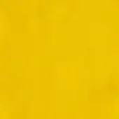 Augusta Velvet fabric, golden yellow, dense pile texture; Borzalino collection, fabric (l) category, even lighting, nuanced surface.