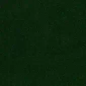 Augusta velvet fabric swatch in deep green features a short pile texture and matte finish, identified as “augusta velvet – 38” by Borzalino.