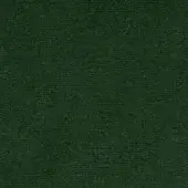 Green velvet fabric swatch displaying a dense, short pile texture with subtle tonal variations and a uniform, fine grain weave.