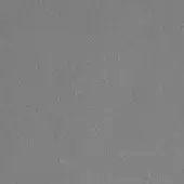 Gray velvet fabric swatch with a granular texture, matte finish, and subtle density variations from the Augusta collection.