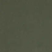 Augusta velvet fabric sample in olive-green with a dense, short pile and subtle directional nap, displaying brand text at the bottom.