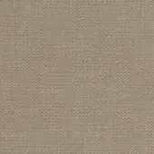 Taupe loop pile fabric sample with heathered texture, displaying a dense woven construction and visible loop pattern; label reads “borzalino loop k5042.”