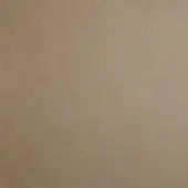 Light tan leather texture sample with mottled surface, grainy appearance, and subtle tortora color; imprinted text reads “borzalino leather (d4) spider – 120 tortora”.