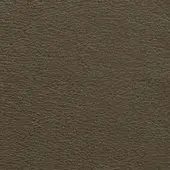 Dark olive-brown pebble-grain leather texture with matte finish, displaying irregular lines and tonal variations; labeled “borzalino prescott – 258”.
