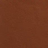Brown leather texture with dense granulation, irregular pores, and a matte finish; includes text “borzalino > leather (e5) > prescott > prescott – 289”.
